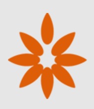 Lazismu DIY Logo